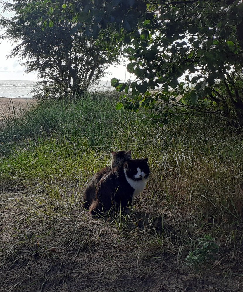 Photograph by Любовь Макарова