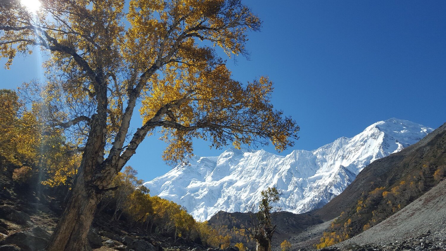 Photo #4964505