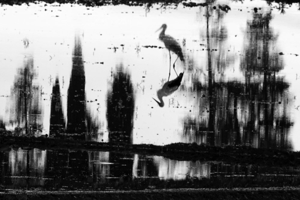 Photograph by hanife yalcin