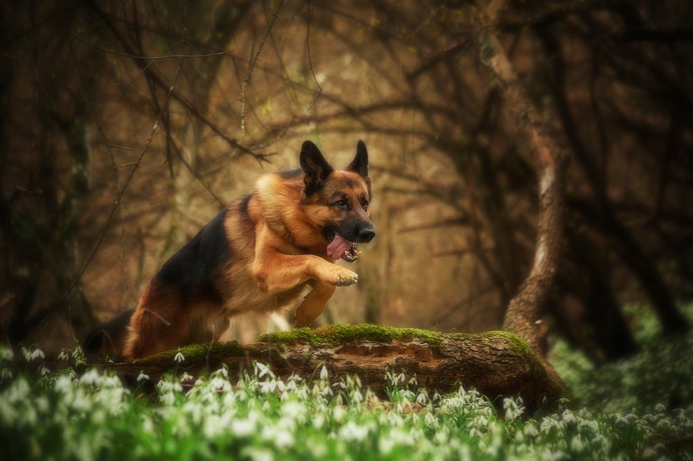 Photograph by Ирина Корх