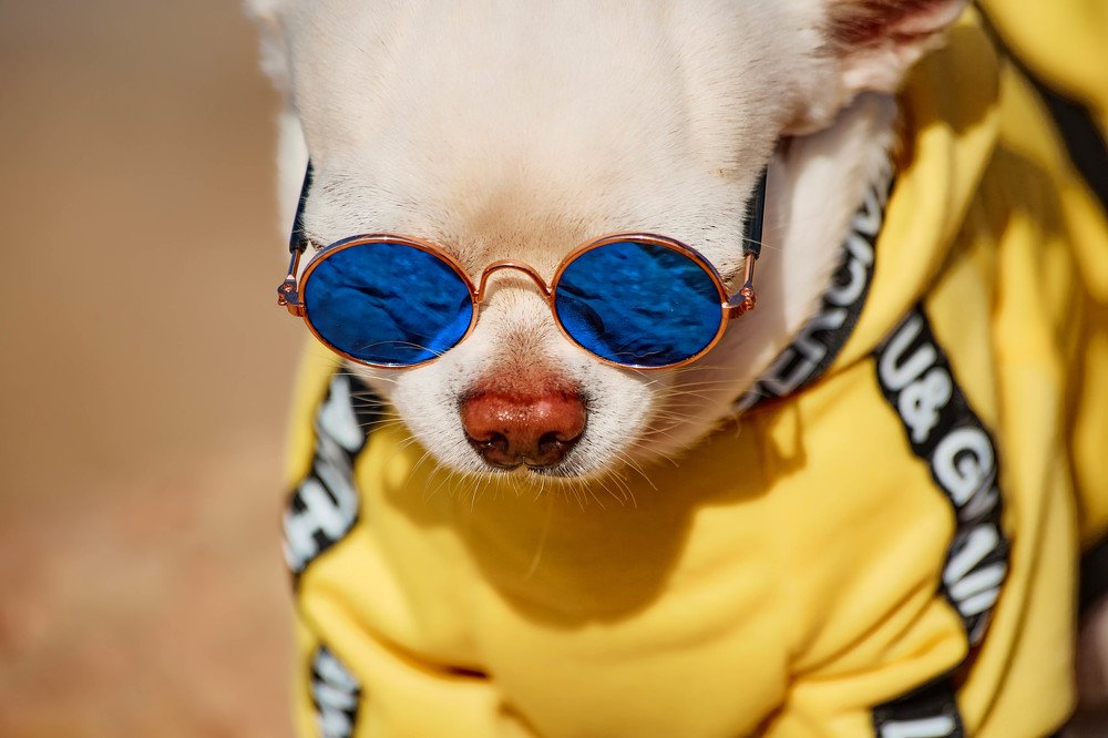 Photograph by Ирина Корх