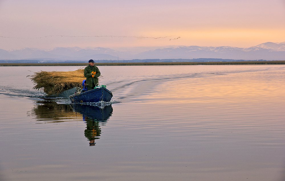 Photograph by hanife yalcin