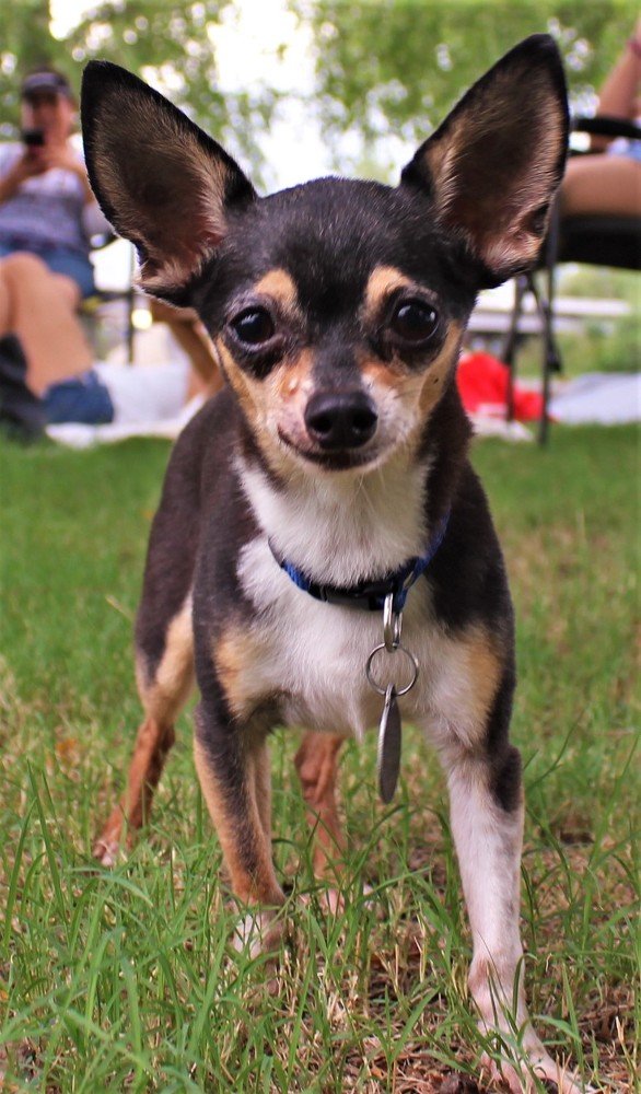 Фотография автора GABRIEL PEÑA