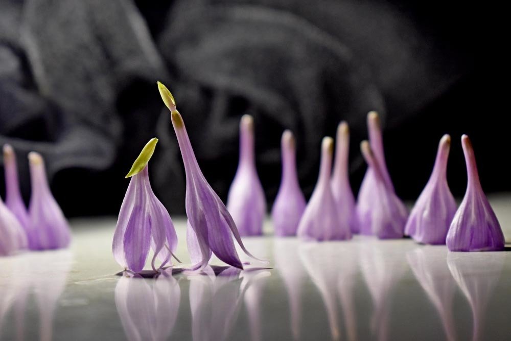 Photograph by Татьяна Золотарева