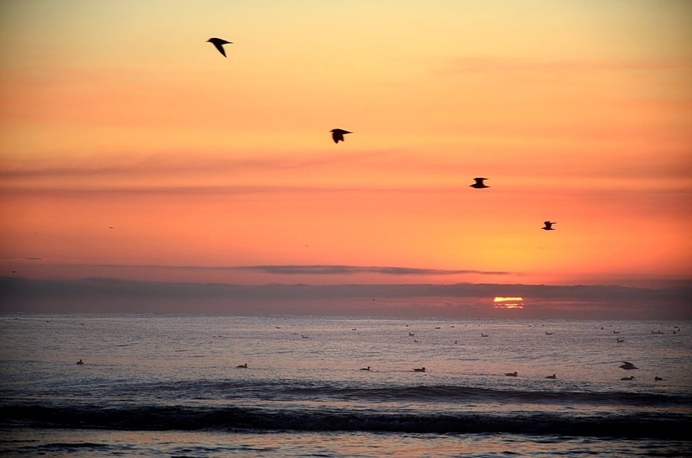 Photograph by Максим Ушаков