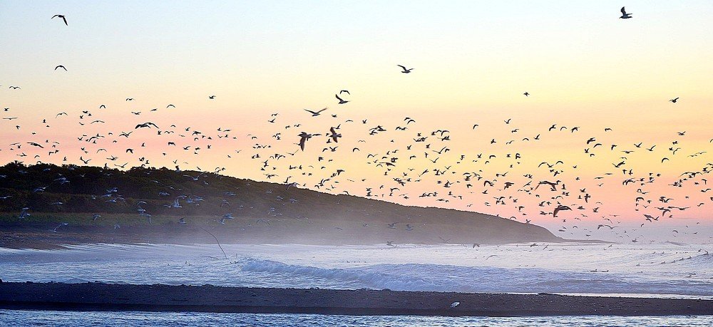 Photograph by Максим Ушаков