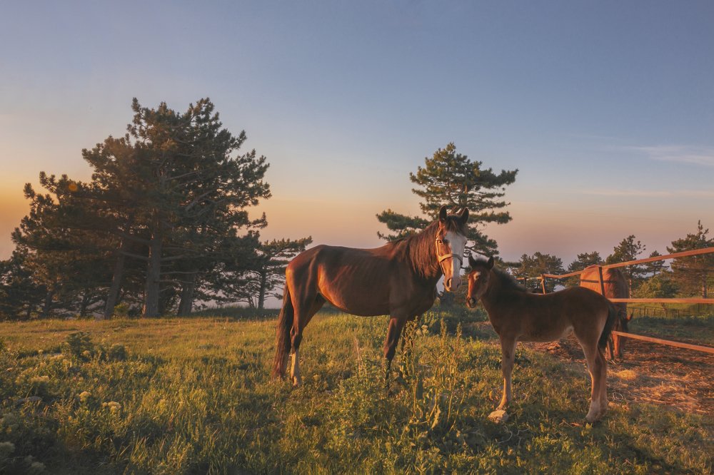 Photograph by ОЛЬГА КОВАЛЁВА