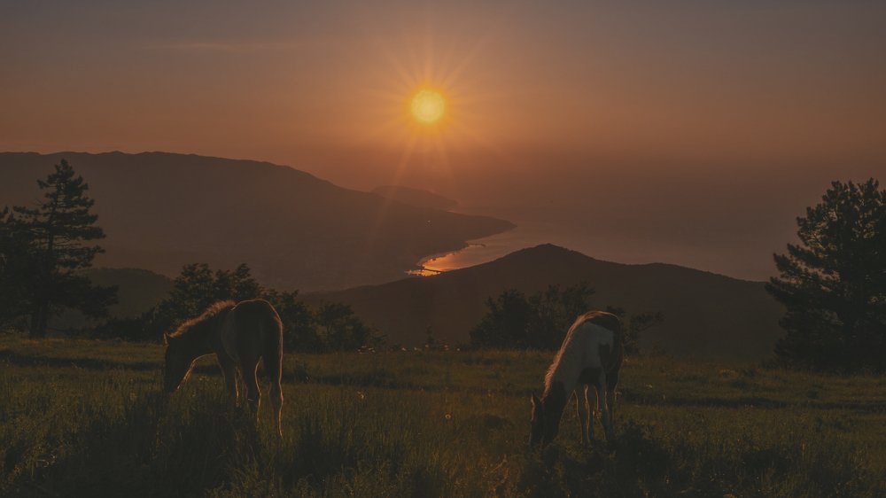 Photograph by ОЛЬГА КОВАЛЁВА