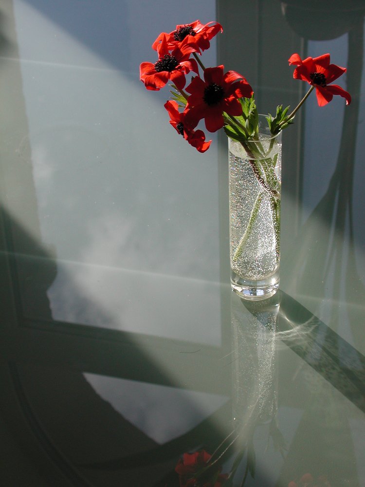 Photograph by Сергей Духанин