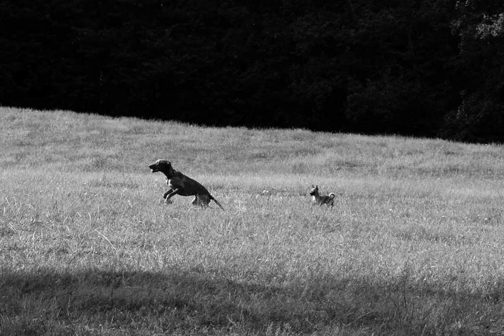 Photograph by SIMONE CIULLI