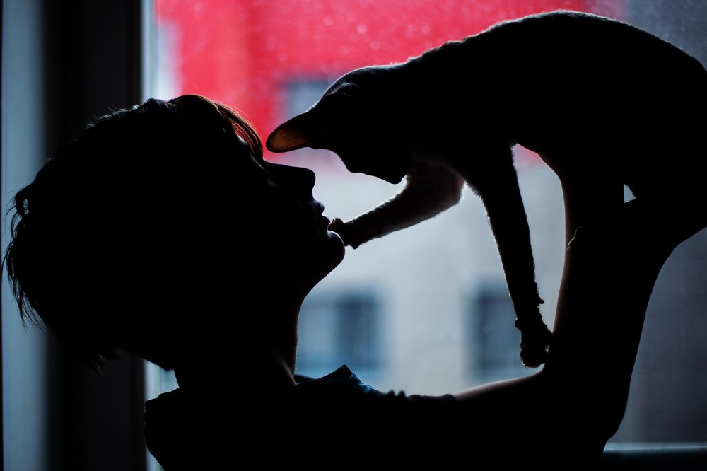 Photograph by Юлия Пошехонова