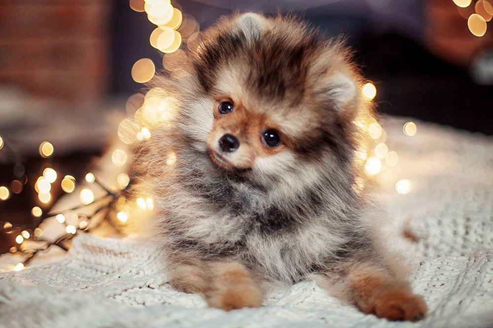 Photograph by Юлия Пошехонова