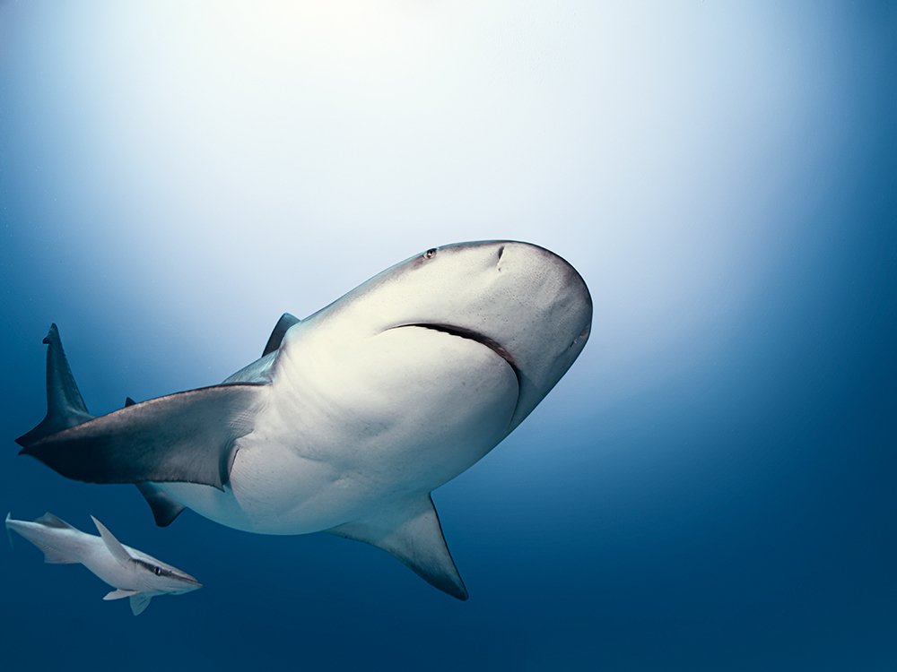 Photograph by Mizael Palomeque