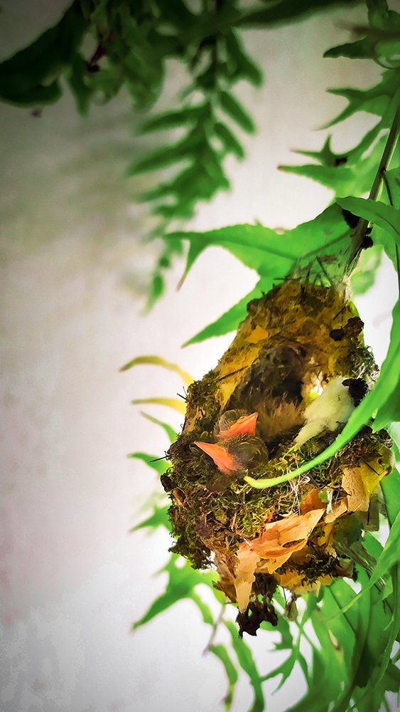 Photograph by Felipe Augusto