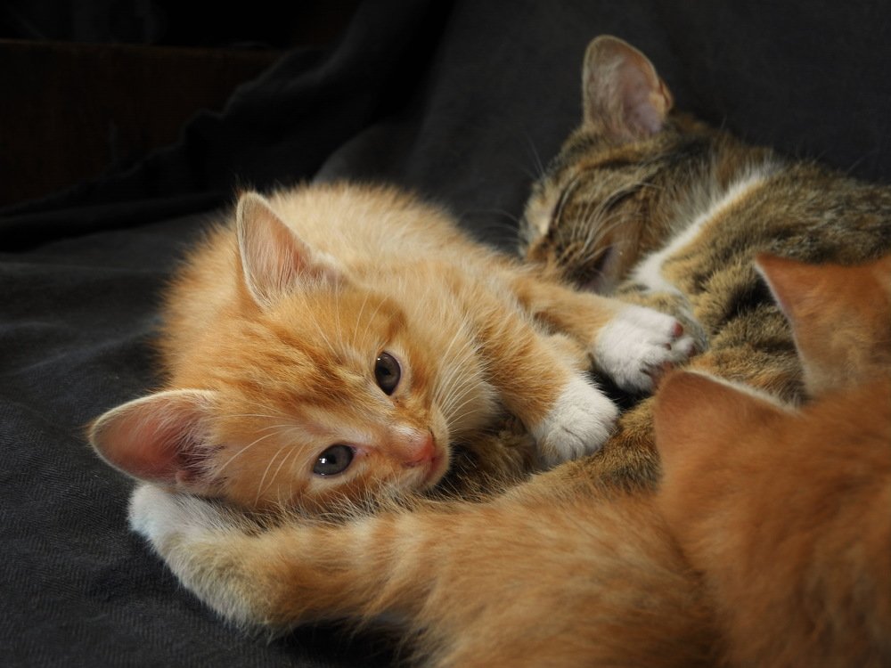 А мне не спится.