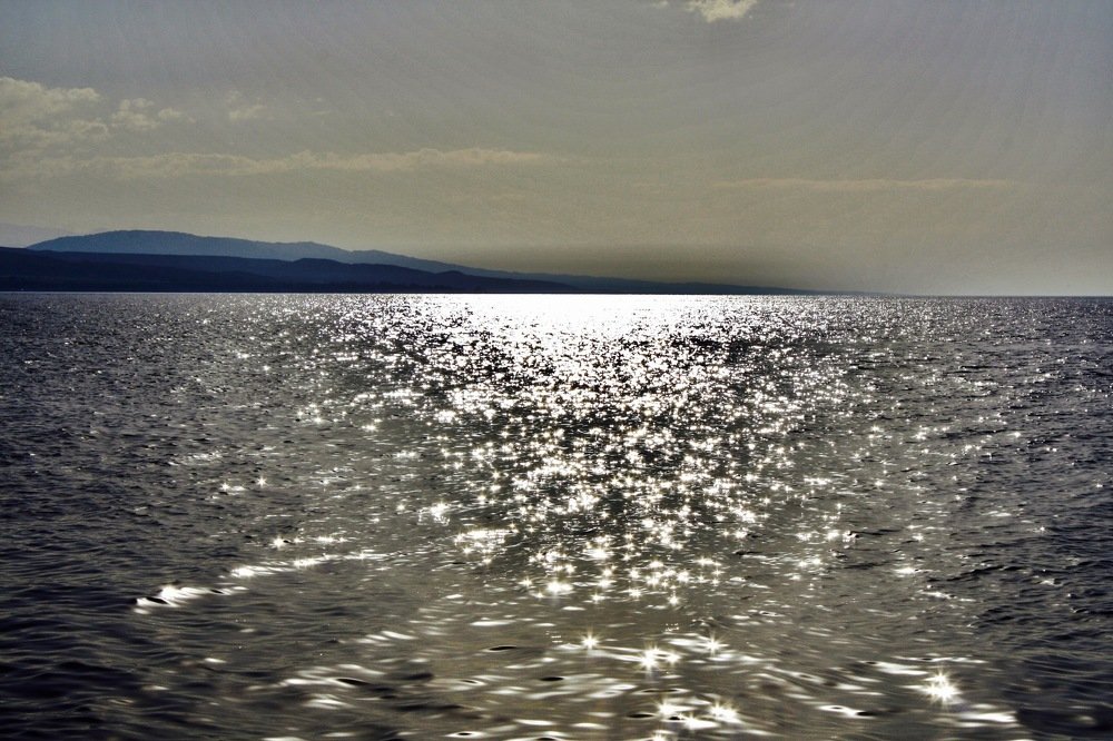 Photograph by Елена Ким