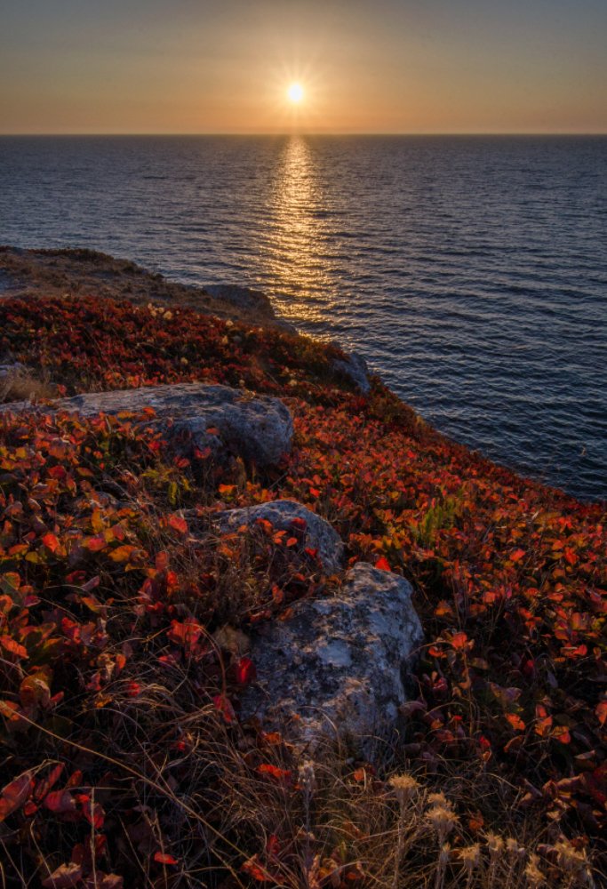 Photograph by Александр Белянский