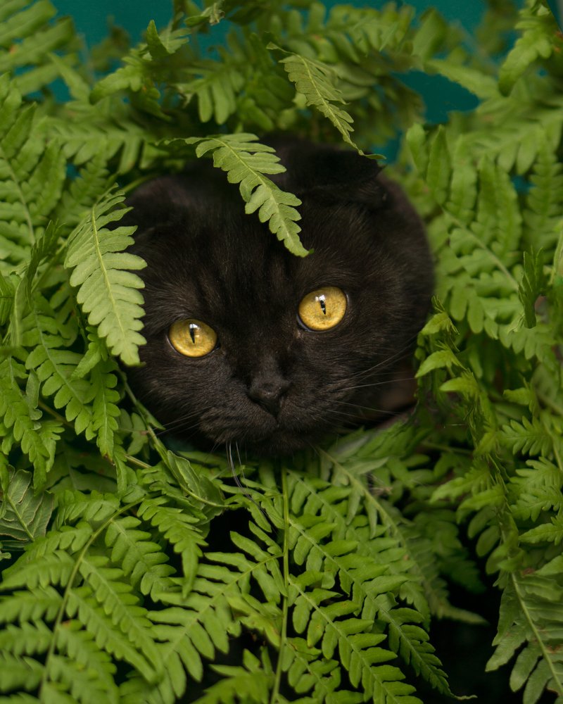 Photograph by Ольга Указова