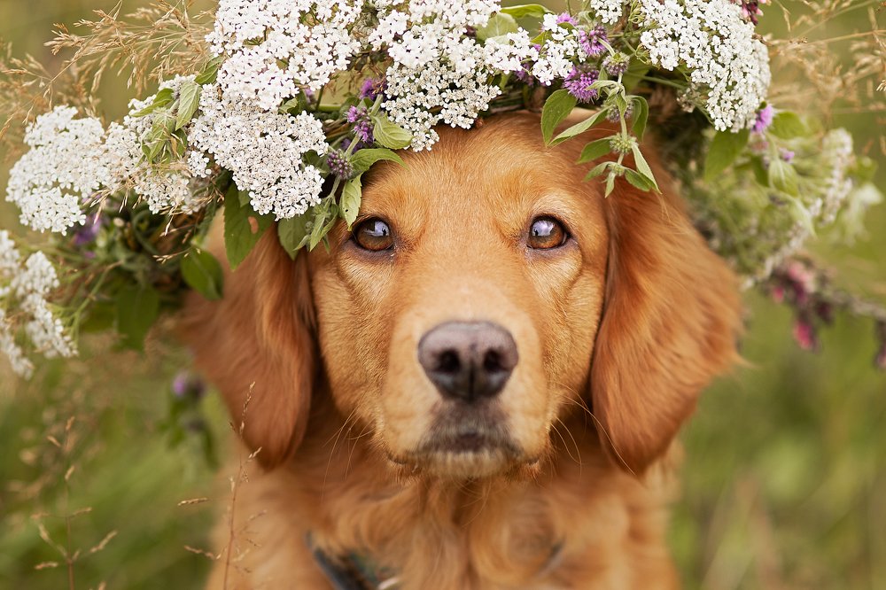 Photograph by Ксения Шевчук