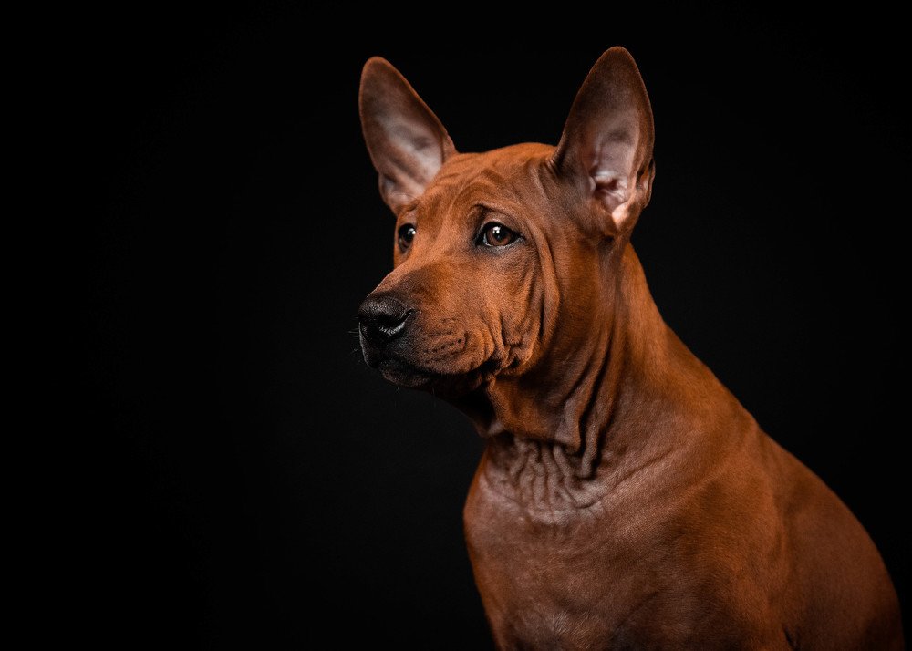 Photograph by Ксения Шевчук