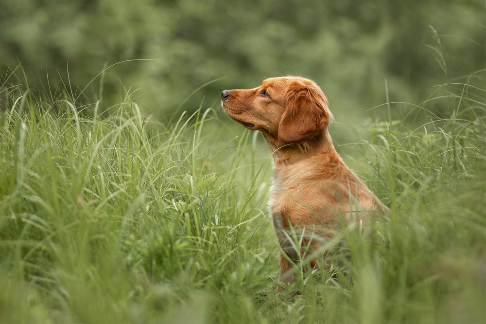 Photograph by Ксения Шевчук