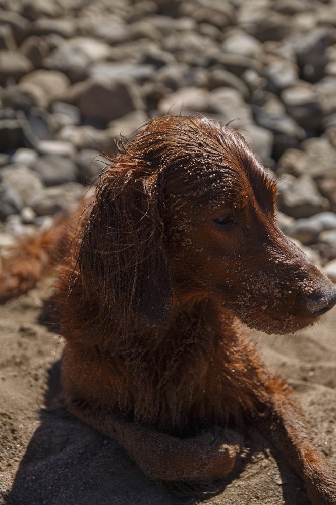 Фотография автора Александр Костенко