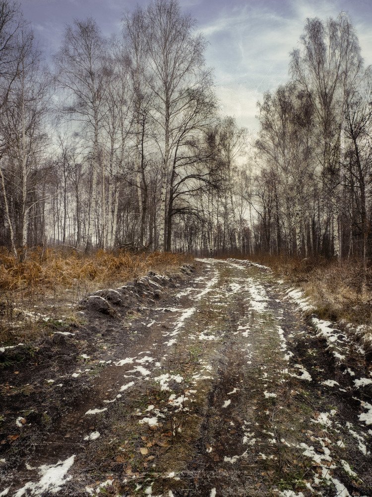 Photograph by Касынцев Владимир