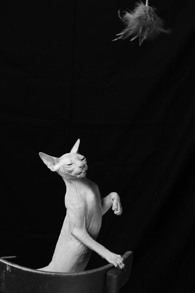 Photograph by Анна Миллер