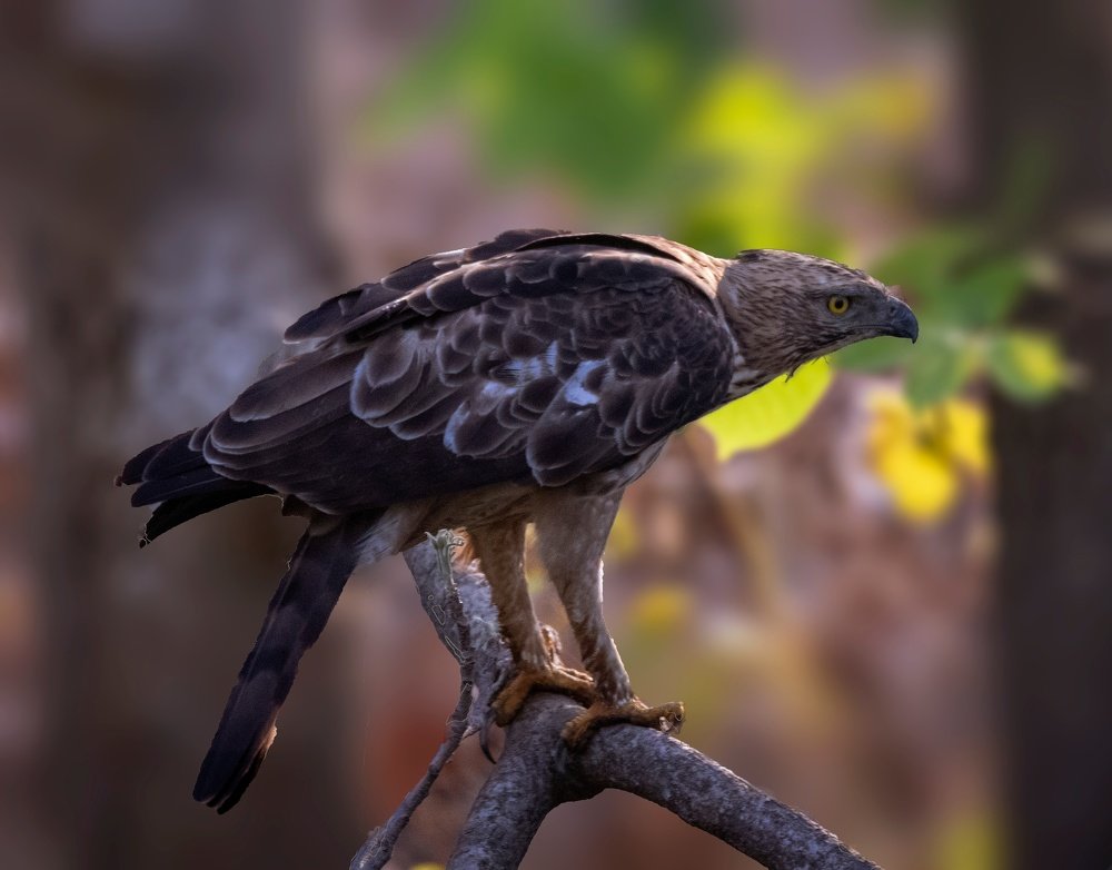 Photograph by Mohit Kukreja