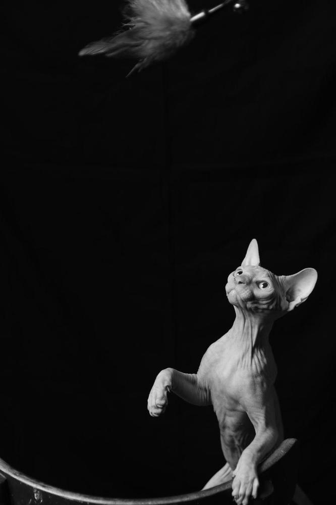 Photograph by Анна Миллер