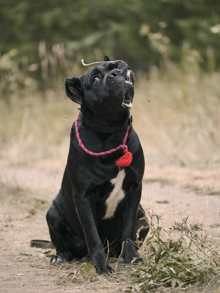 Photograph by Екатерина