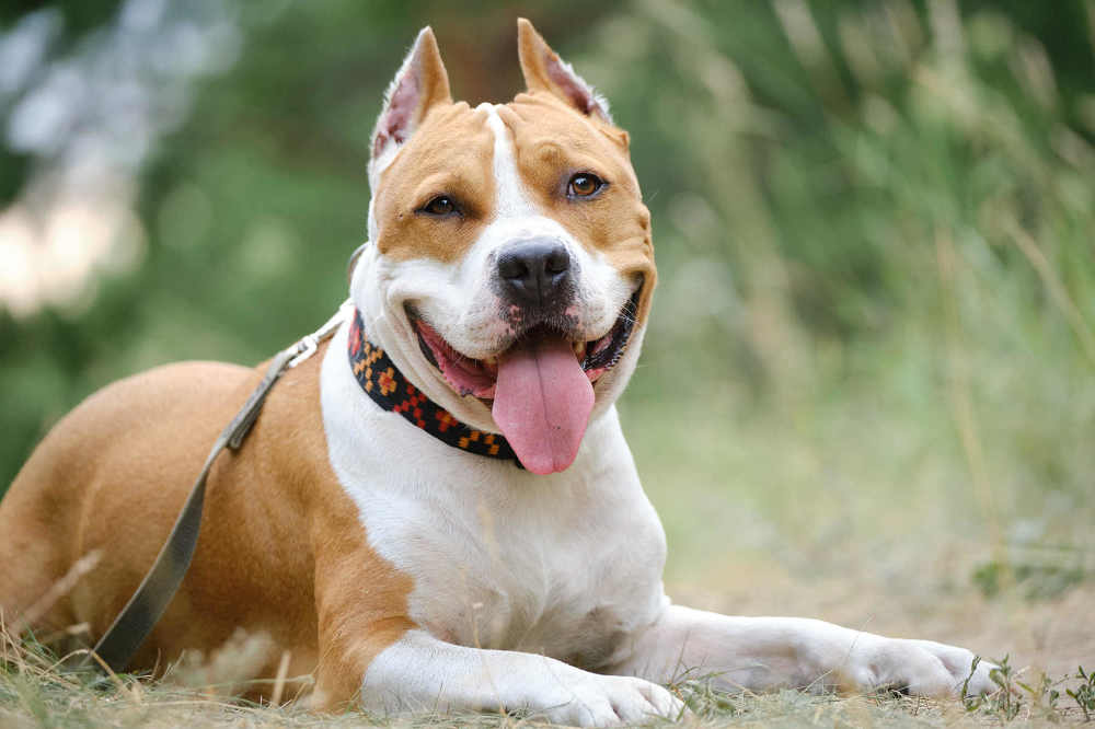 Photograph by Екатерина