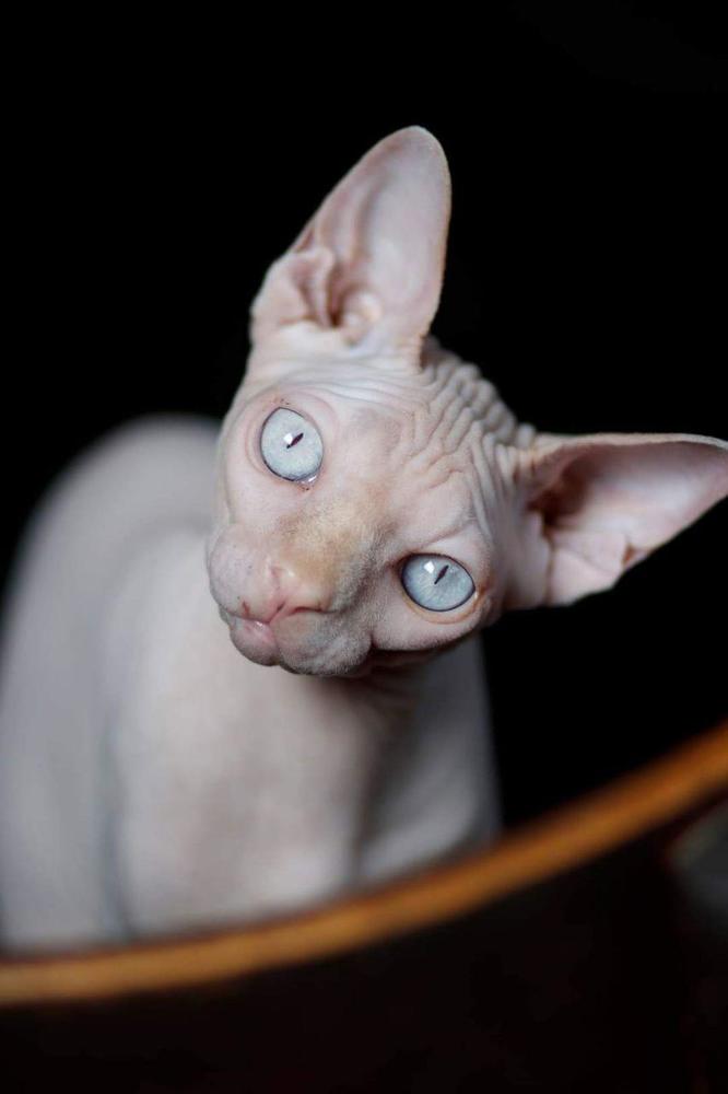 Photograph by Анна Миллер