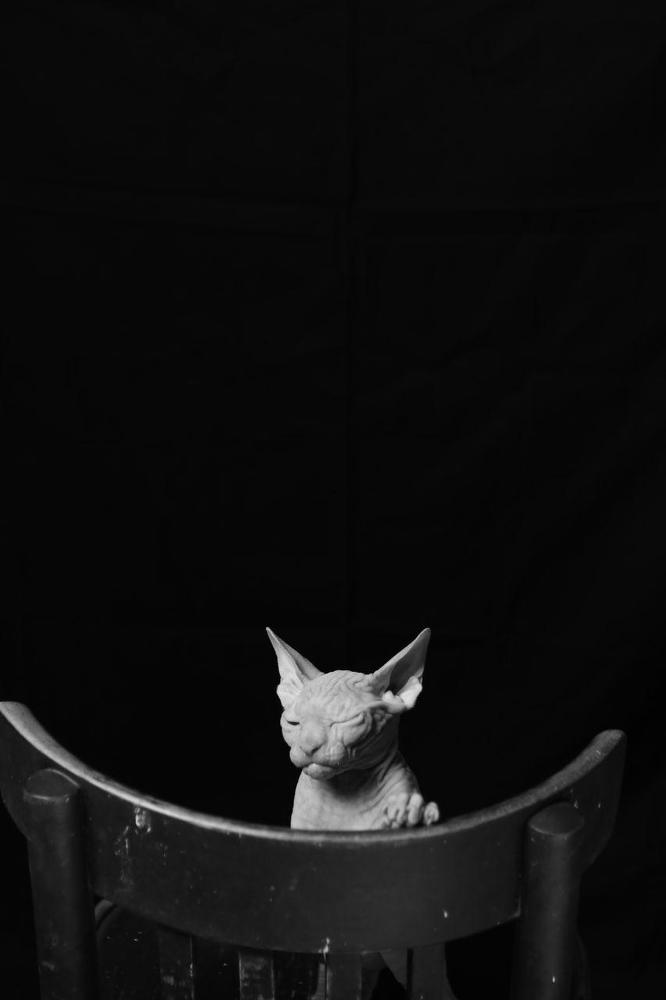 Photograph by Анна Миллер