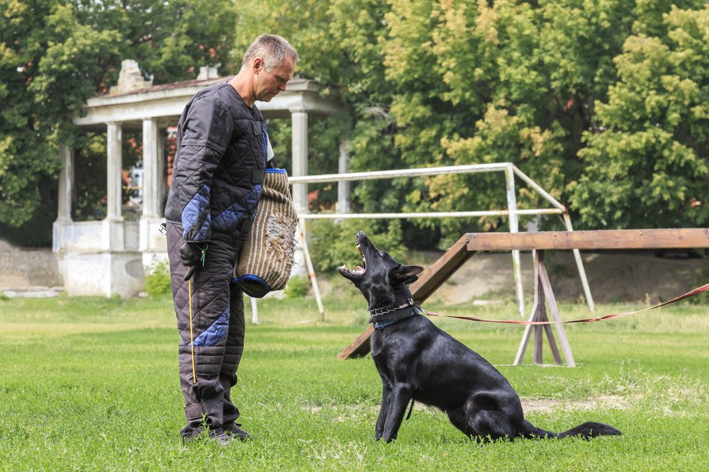 Глаза в глаза