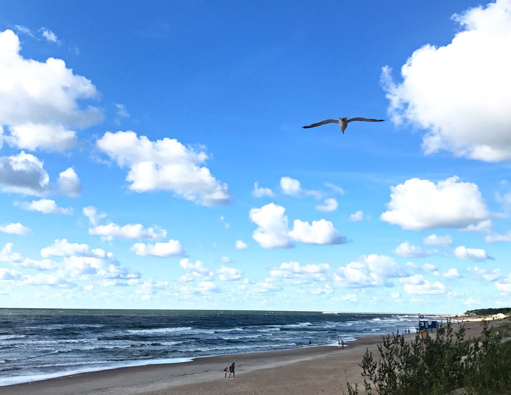 Photograph by Соня