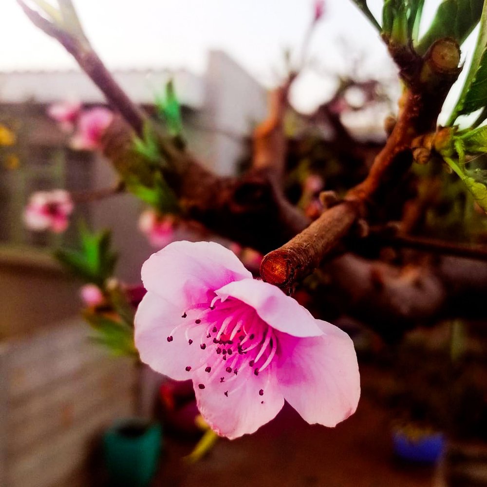 Photograph by Wynand Carelse