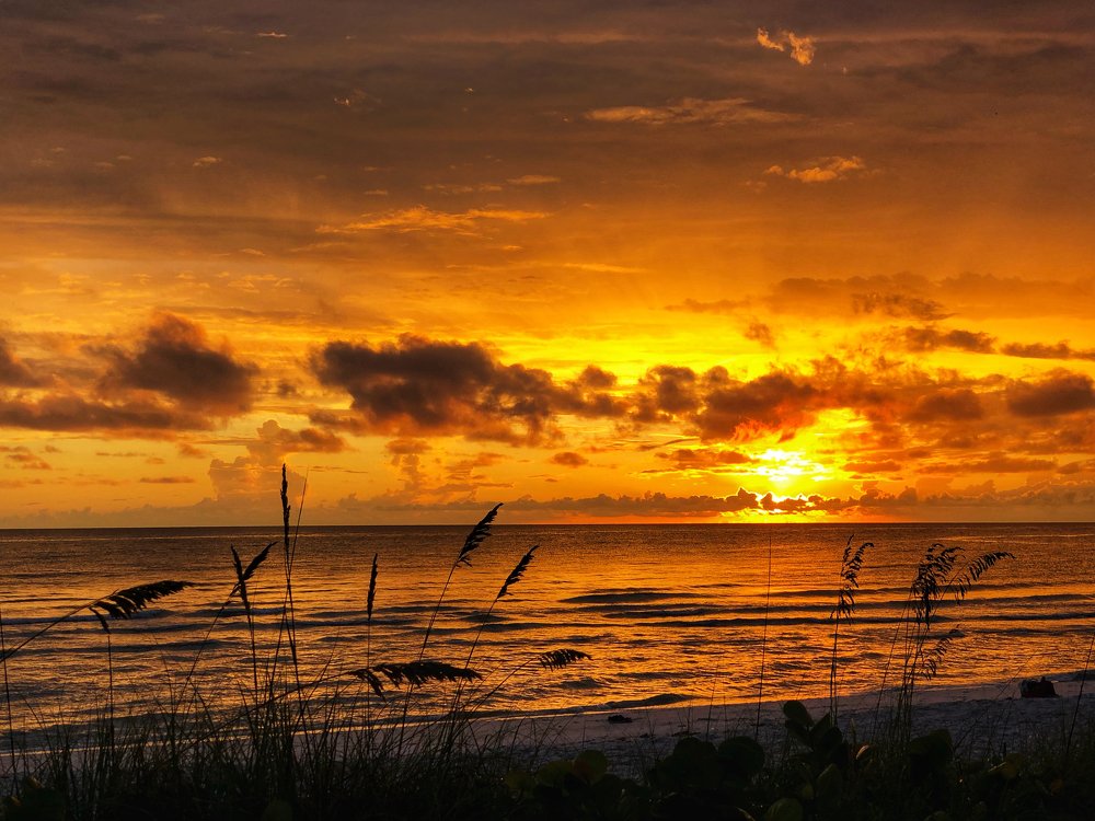 Photograph by Svitlana Krichevsky