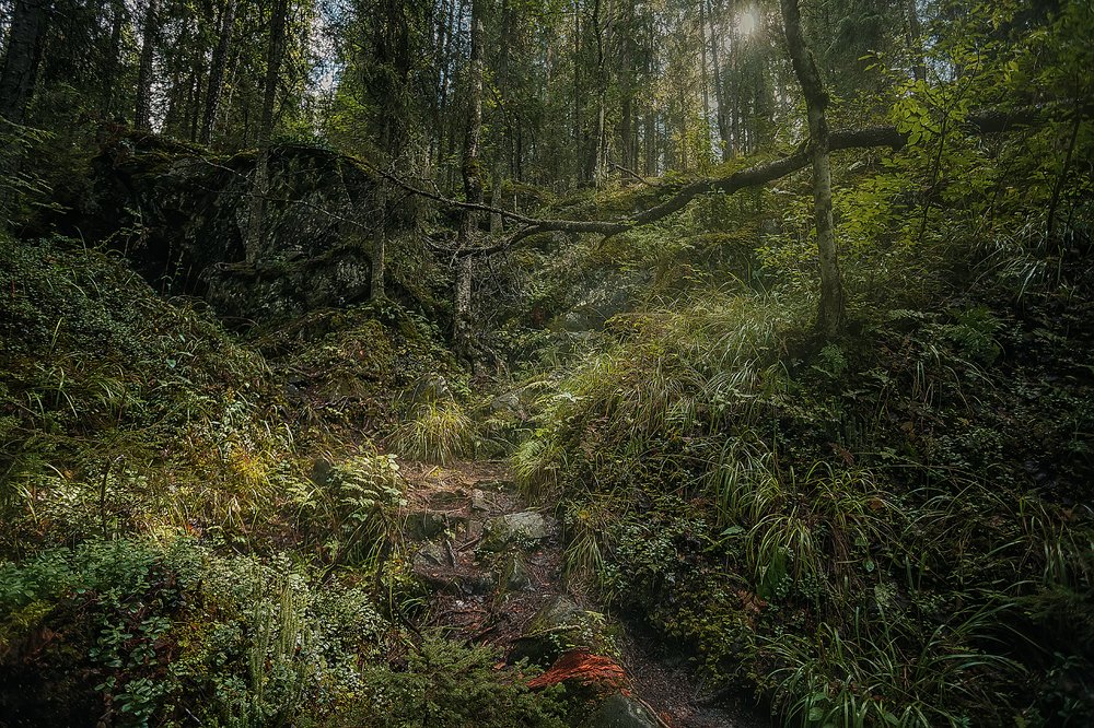 Photograph by Ирина Малина