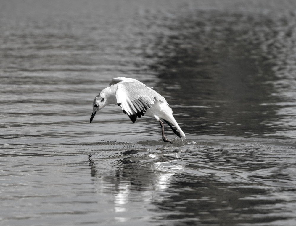 Кто на свете всех милее?