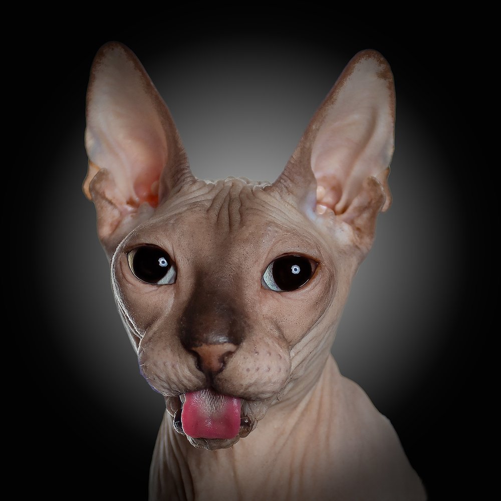 Photograph by Николай Сизиков