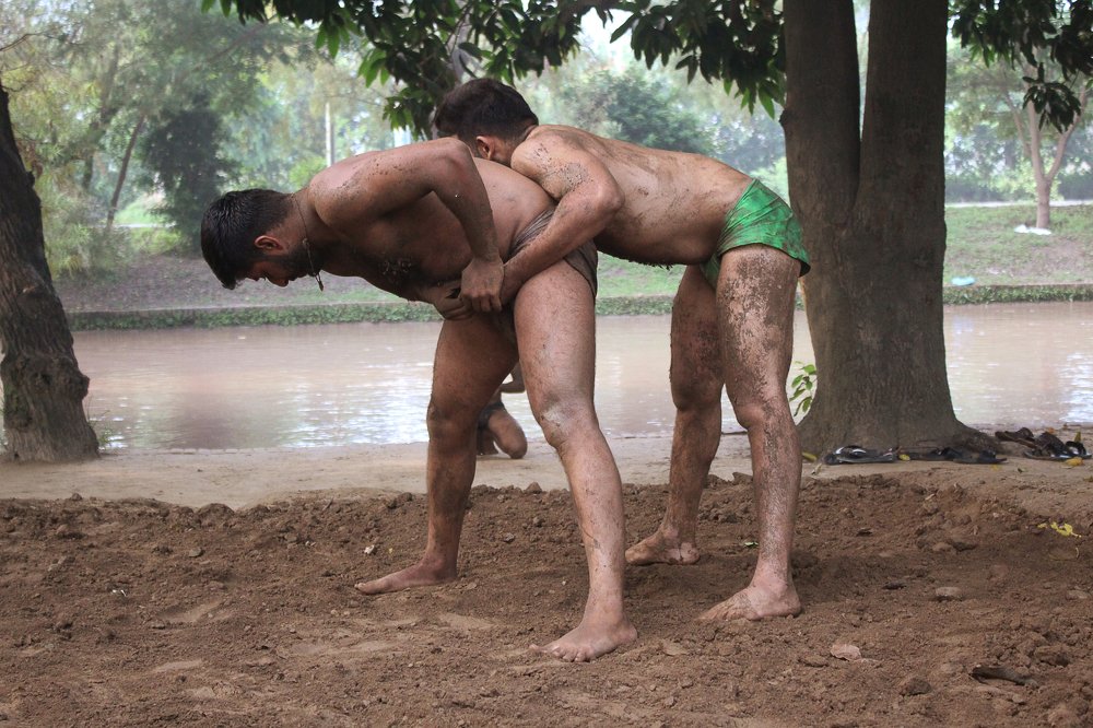 Photograph by M Y Dogar