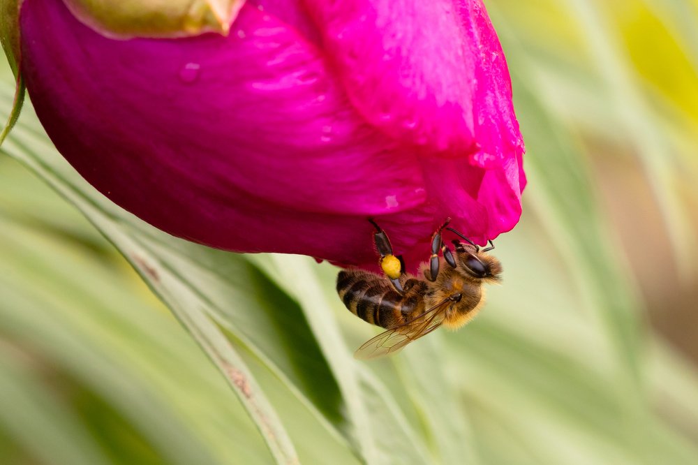 Photograph by Любовь Тернова