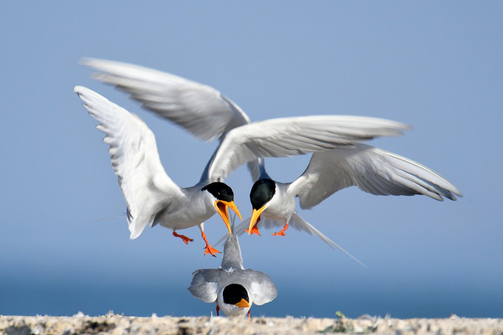 Photograph by Yuwaraj Gurjar