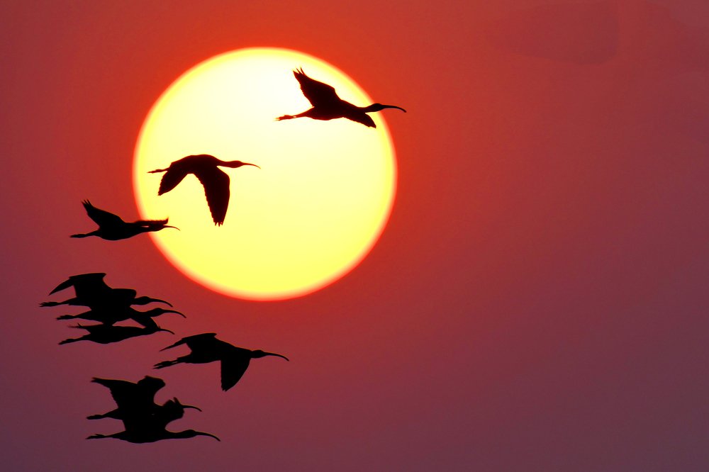 Photograph by Yuwaraj Gurjar