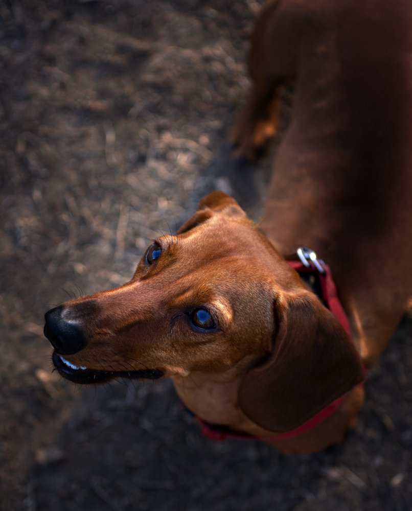 Photograph by Diana Potapenko