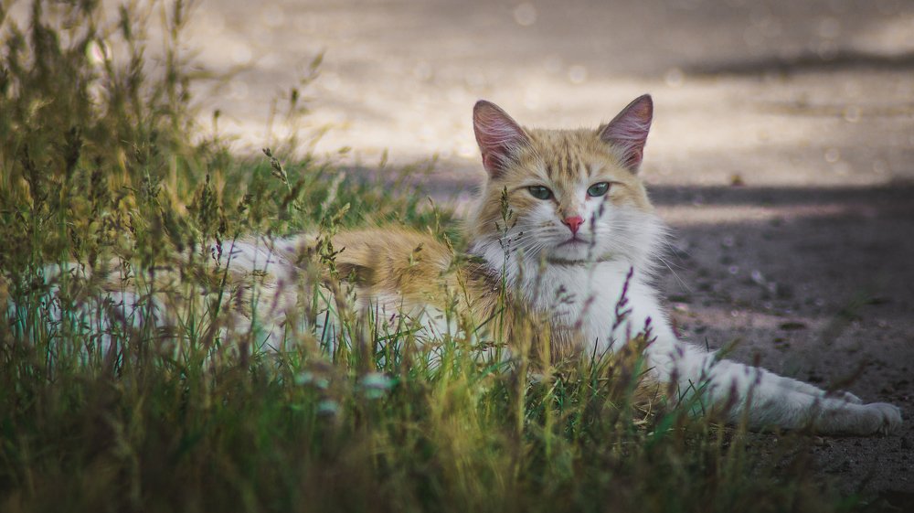 Photograph by Евгений Калагаев