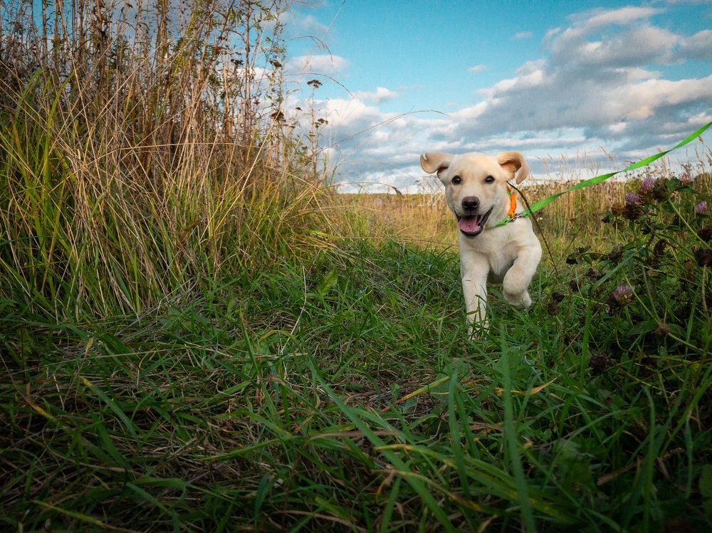 Photograph by Дубинин Сергей