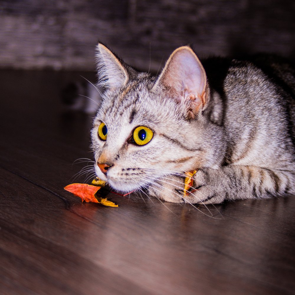 Photograph by Евгений Калагаев