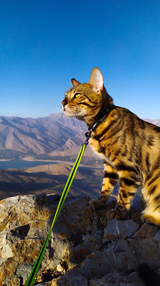 Photograph by Ilyas Abdujambulov